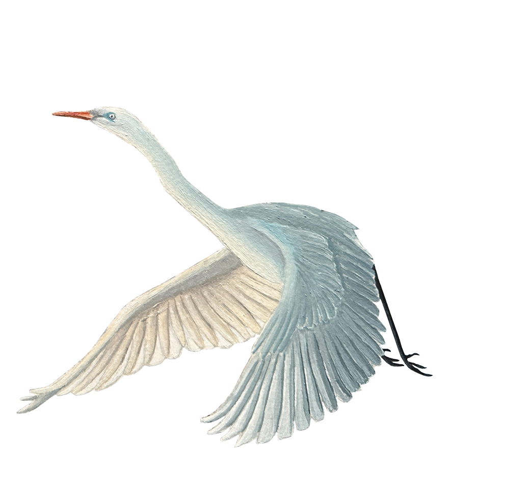 Sinas Herzfarben · Malerei & Illustrierte Grußkarten