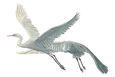 Sinas Herzfarben · Malerei & Illustrierte Grußkarten