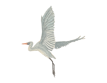 Sinas Herzfarben · Malerei & Illustrierte Grußkarten