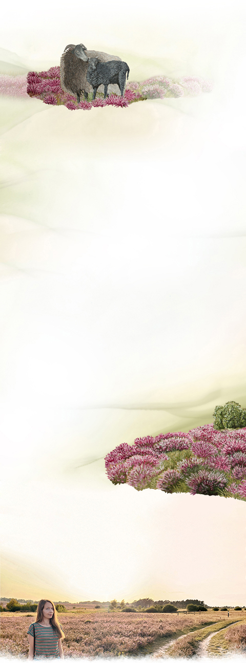 Sinas Herzfarben · Malerei & Illustrierte Grußkarten