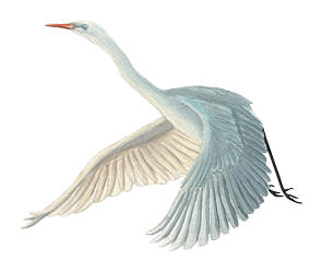 Sinas Herzfarben · Malerei & Illustrierte Grußkarten