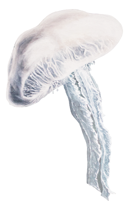 Sinas Herzfarben · Malerei & Illustrierte Grußkarten