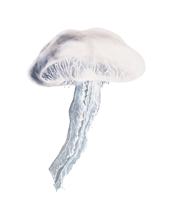 Sinas Herzfarben · Malerei & Illustrierte Grußkarten